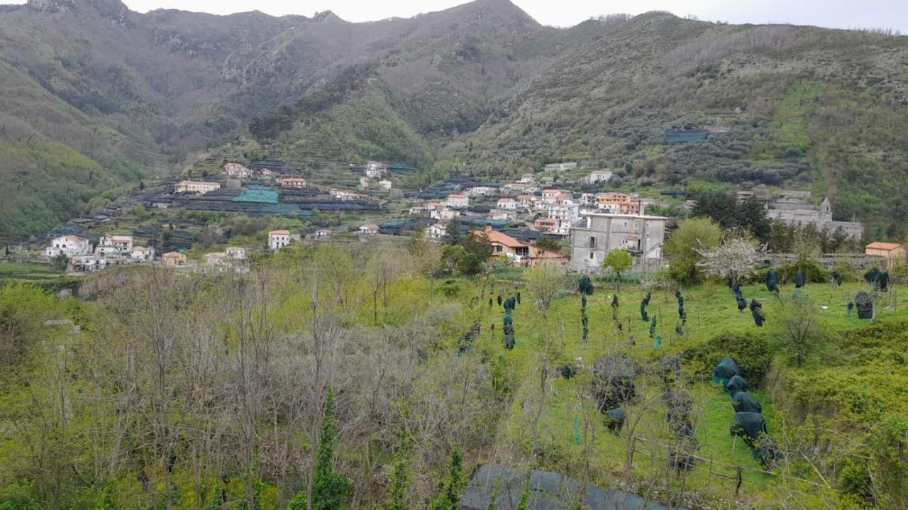 Hotel Affittacamere Novella Tramonti Bagian luar foto