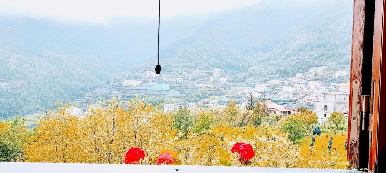 Hotel Affittacamere Novella Tramonti Bagian luar foto