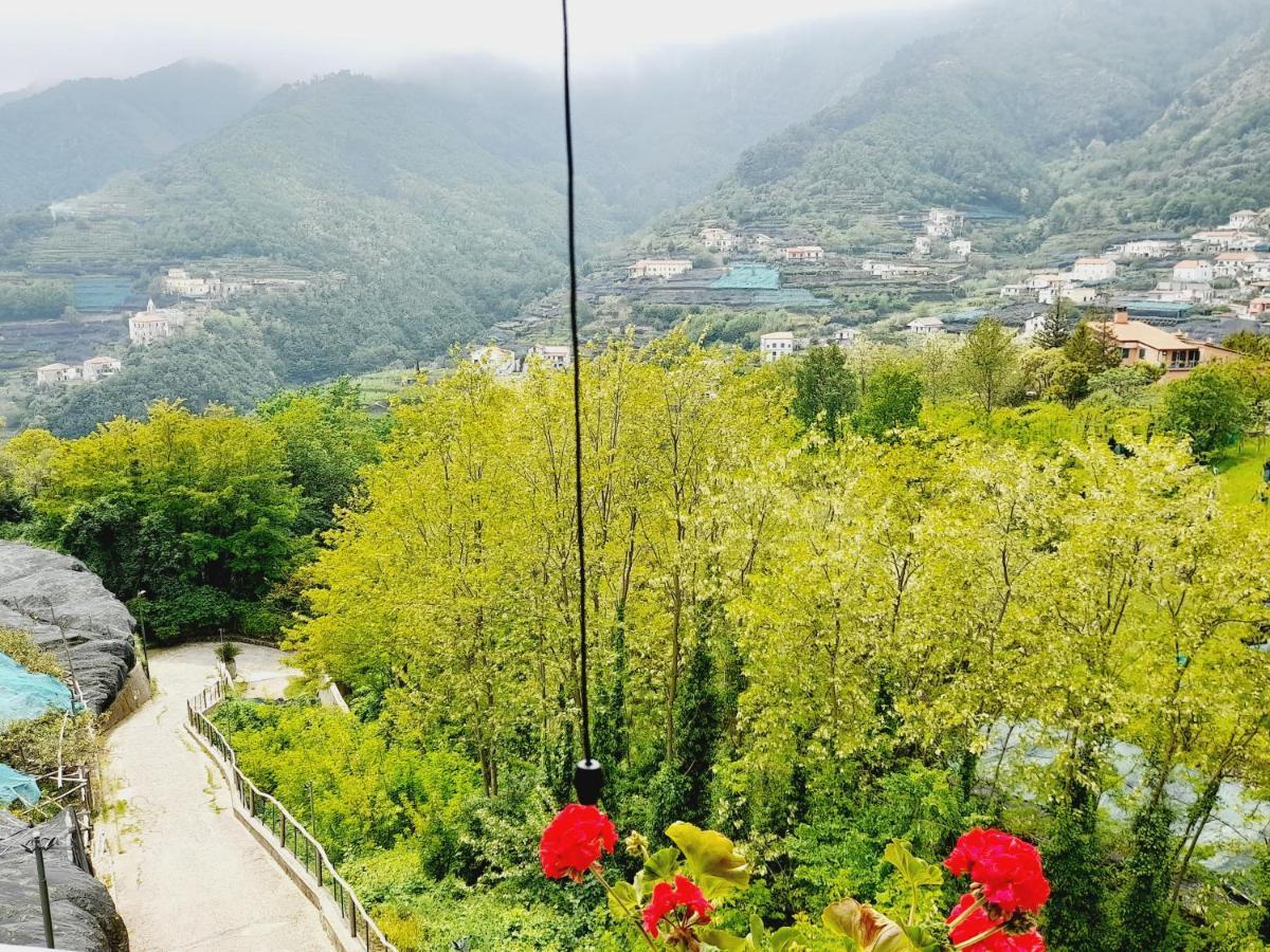 Hotel Affittacamere Novella Tramonti Bagian luar foto